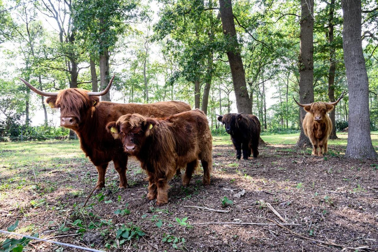 Hotel Glamping Renswoude Zewnętrze zdjęcie